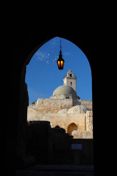 istock Historical Aleppo fortress, Aleppo, Syria. 1396066646