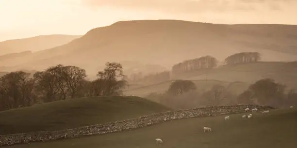 A Misty morning photograph from Wensleydale in the Yorkshire Dales