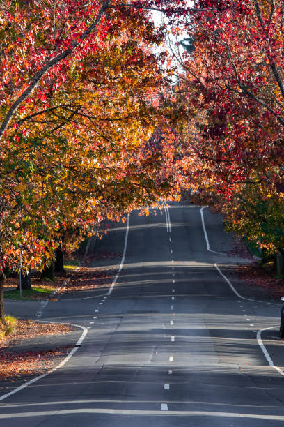 istock Autumn street 1396067602