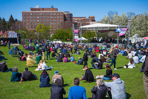 Rochester, NY, USA - May 7, 2022: The Rochester Lilac Festival is the largest free festival where visitors can shop, hear live music, eat and explore the magnificent gardens of Highland Park. A large crowd of people enjoy live music.