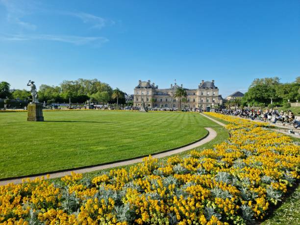 Jardin du Luxembourg with The Luxembourg Palace The Jardin du Luxembourg (Luxembourg Garden), is located in the 6th arrondissement of Paris, France. Creation of the garden began in 1612. The image shows the the gardens during a warm day in springtime in front of the Luxembourg Palace. luxembourg paris stock pictures, royalty-free photos & images