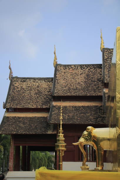 wat phra singh, chiang mai, tailândia - wat phra sing - fotografias e filmes do acervo