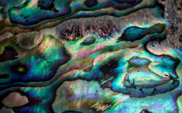 istock Abstract blue and green background, close up of a shell 1396078372