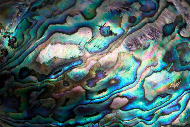 istock Abstract blue and green pattern, close up of a shell 1396078380