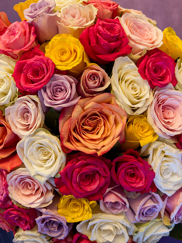 Bunch of beautiful roses, Close up