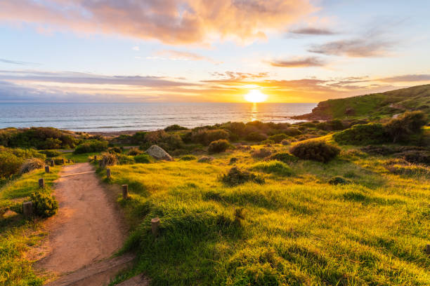 istock Hallett Cove Conservation Park trail at sunset 1396080872
