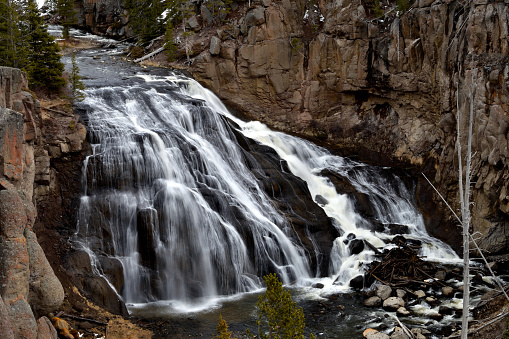 Gibbon Falls in Yellowstone National Park with early spring runoff in April 2022.