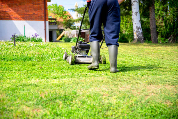istock Man mowing green lawn grass on sunny day. 1396081108