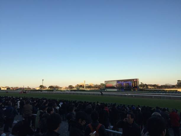 Nakayama Racecourse, Chiba, 2016 Shortly before the Arima Kinen. Taken in Nakayama Racecourse, Funabashi, Chiba prefecture on 25 December 2016. best betting sites 2016 stock pictures, royalty-free photos & images