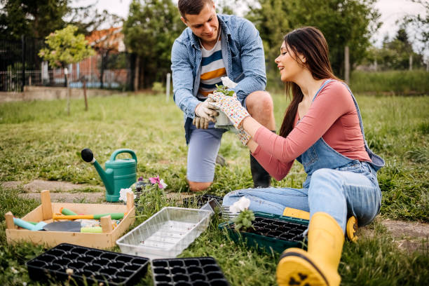 istock Couple plants flowers together 1396084287