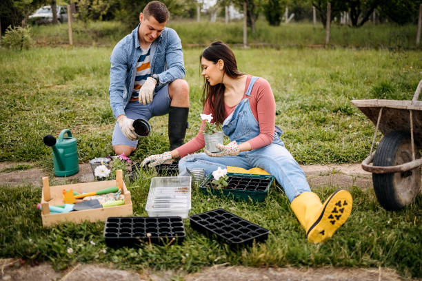 istock Couple plants flowers together 1396084293