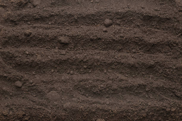 istock Black land for plant background. Top view. 1396087603