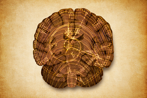 The Ravages of Time on The Human Brain - Aging Brain and Neurodegenerative Diseases - Abstract Wooden Brain with Superimposed Spiral Denoting Memory Loss - Conceptual Illustration