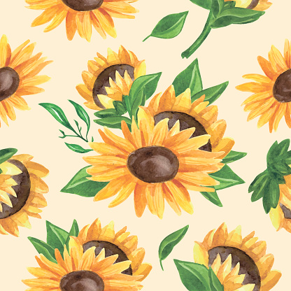 Sunflower seamless vector pattern. Hand-drawn watercolor flowers texture.