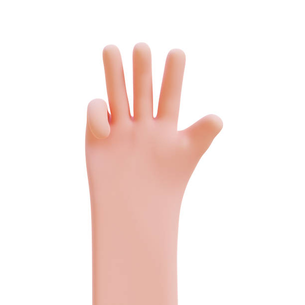 istock Cartoon hands. Hands raised to count fingers. 3d render illustration with Clipping path. 1396090228