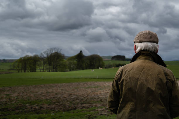 istock Grey haired man standing looking at cattle in a field 1396090983