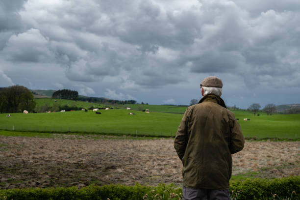 istock Senior man looking at beef cattle in a field 1396090997