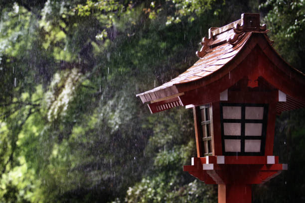 A lantern and forest, 2015 Taken in Kirishima-Jingu Shrine, Kirishima City, Kagoshima prefecture on 12 May 2015. shrine stock pictures, royalty-free photos & images