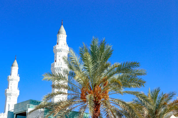 Masjid Qoba with Dates Palm Tree