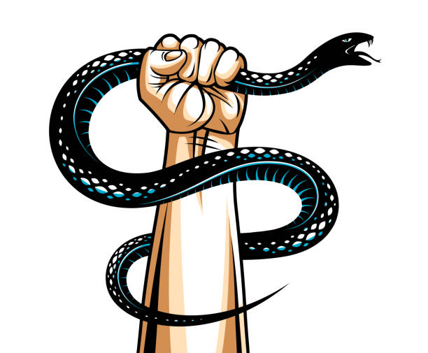 Hand Squeezes A Snake Fight Against Evil Devil And Satan Control Your Inner  Beast Animal Archetype Shadow Life Is A Fight Concept Vintage Vector Logo  Or Tattoo Stock Illustration - Download Image