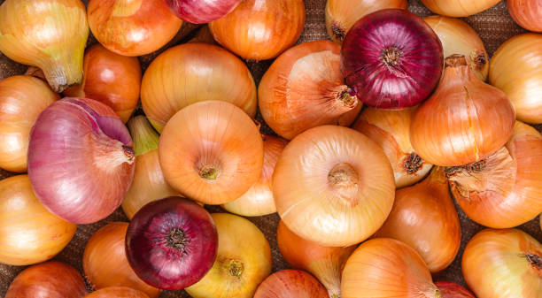 istock Onions of different types close-up. Top view 1396099948