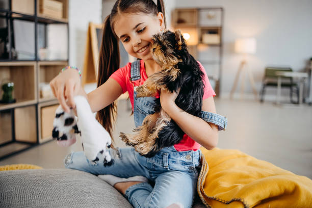 istock Girl playing with dog 1396100766