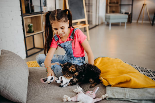 istock Girl playing with dog 1396100788