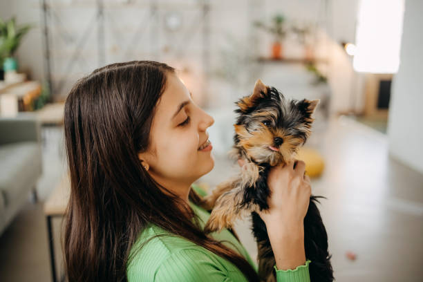 istock Girl playing with dog 1396101126