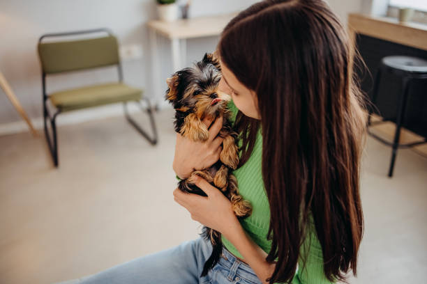 istock Girl playing with dog 1396101127