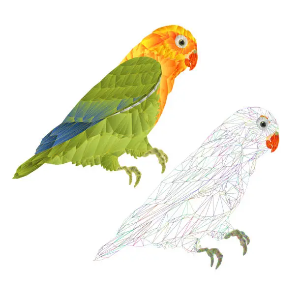 Vector illustration of Parrot  Agapornis  lovebird  tropical bird   polygons and outline on a white background  vector illustration editable hand draw