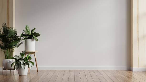 istock Plants on a wooden floor in empty white room. 1396103806
