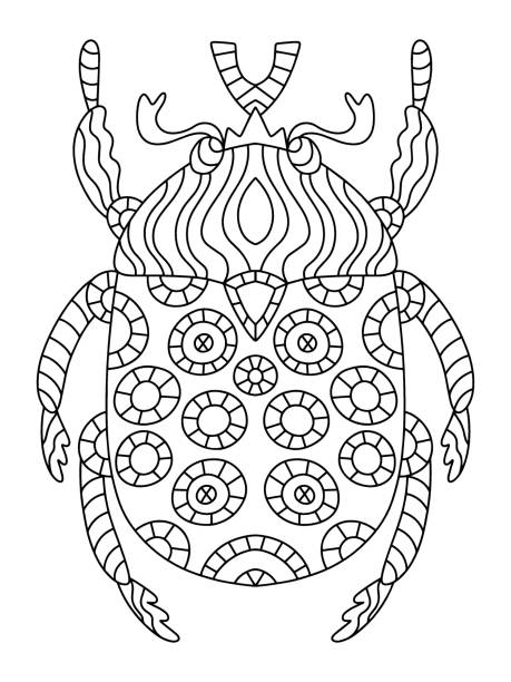 Melolontha or green rose chafer decorative linear bug vector illustration Melolontha or green rose chafer decorative linear bug vector illustration. Unusual hand-drawn beetle coloring page for adults. Black outline summer bug with ornaments vector illustration rose chafer cetonia aurata stock illustrations