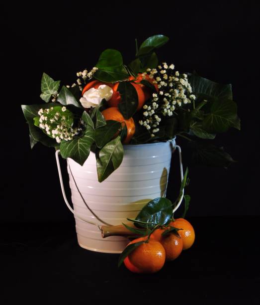 Decorative Display