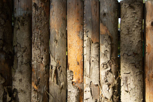 istock a fence is made of vertical logs 1396105060