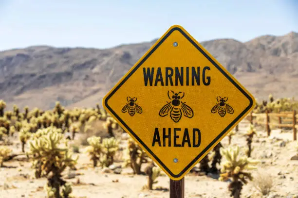 Photo of Warning sign of bumble bees in a garden ahead