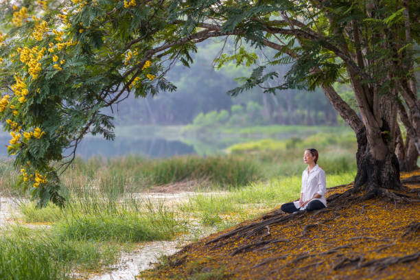 frau praktiziert entspannend meditation im öffentlichen park, um glück aus innerer friedensweisheit unter gelbem blumenblütenbaum im sommer zu erlangen - nirvana stock-fotos und bilder