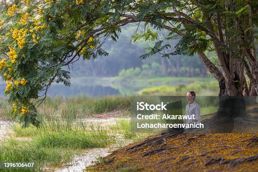 istock Woman relaxingly practicing meditation in the public park to attain happiness from inner peace wisdom under yellow flower blossom tree in summer 1396106407