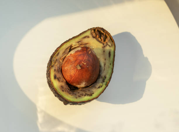 уродливый гнилой авокадо разрезать пополам. перезрелые плохие фрукты при солнечном свете. - avocado brown стоковые фото и изображения