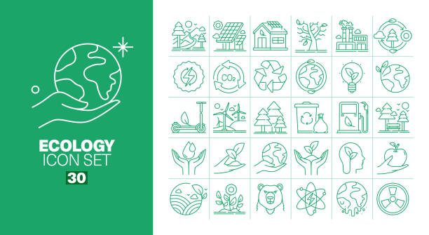 illustrations, cliparts, dessins animés et icônes de ensemble d’icônes de ligne d’écologie - eco tourism