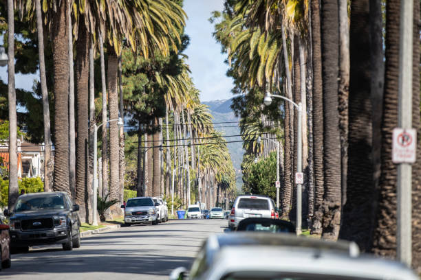 Santa Monica, CA - April 15 2022: The palm tree lined streets near Montana Avenue