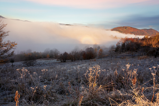 Frozen meadow with a layer of fog during sunrise in the Carpathian mountains, Ukraine. High quality photo