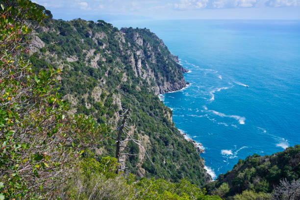 Mediterranean forest and coastline over Ligurian Sea in a sunny day of spring. Regional Natural Park of Portofino. Genoa. Liguria. Italy.