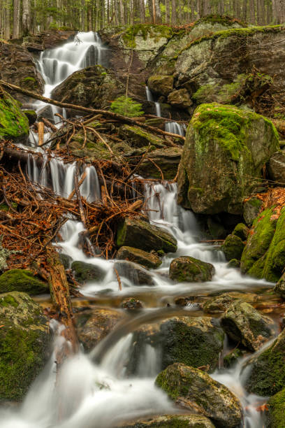 istock Geigenbachfalle waterfall near Groser Arber hill in Germany 1396128531