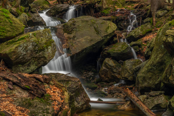 istock Geigenbachfalle waterfall near Groser Arber hill in Germany 1396128532