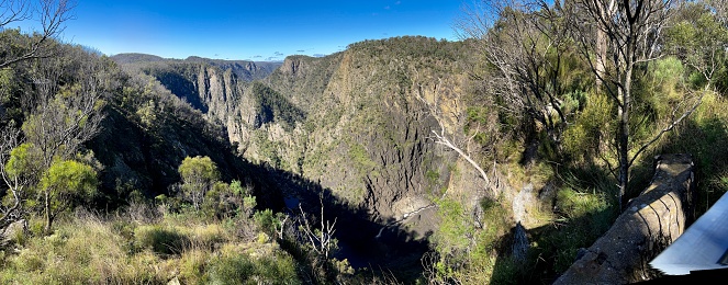 Horizontal panoramic view from the walking track of rugged cliffs and Australian native species forest in Dangar's Gorge, a World Heritage Listed area in the Oxley Wild rivers National park, near Armidale in the New England high country, northern NSW.