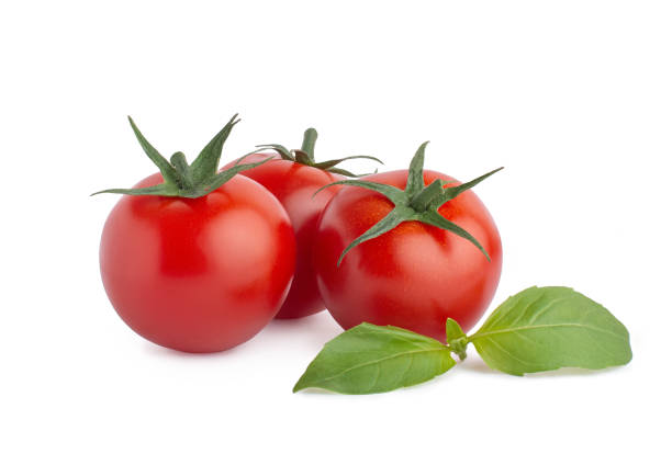 istock Tomatoes, garlic, peppers, basil on a white isolated background. Ingredients for tomato sauce 1396133308