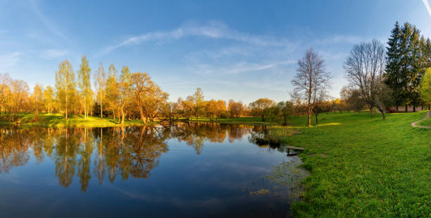 istock Beautiful colorful spring landscape with a lake in Park with many trees. Panoramic view 1396133778