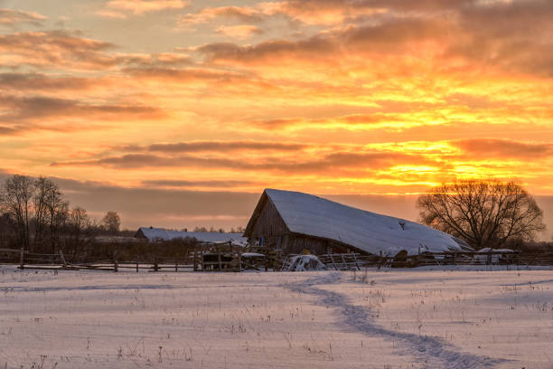 istock Village under snow at dawn 1396133824