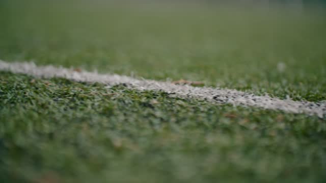 White line of the soccer field