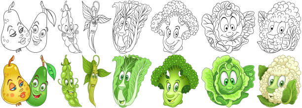 ilustrações, clipart, desenhos animados e ícones de coleção dos vegetais dos desenhos animados - cauliflower white backgrounds isolated